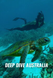 Deep Dive…