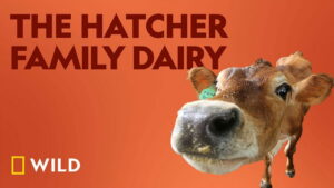 The Hatcher Family Dairy