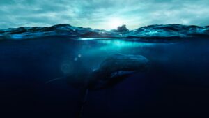 Fathom