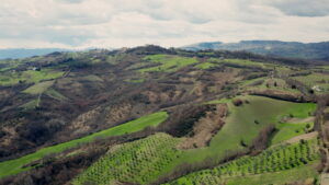 Maine Cabin Masters: Building Italy