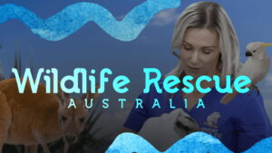 Wildlife Rescue Australia