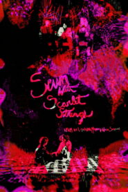 Sewn with Scarlet Strings