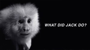 WHAT DID JACK DO?