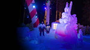 Best in Snow