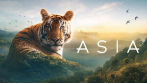 Asia (2024)