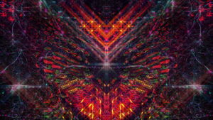 Bufo Alvarius – The Underground Secret