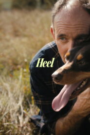 Heel