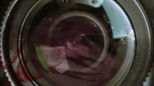 The Found Footage Phenomenon