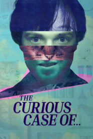 The Curious Case Of…