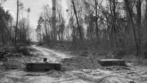 Heimat Is a Space in Time