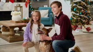 The Holiday Sitter