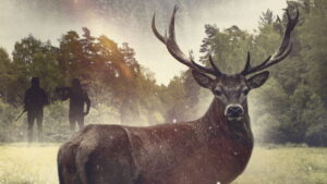 The Godfather Buck