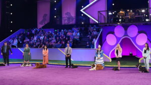 2022 American Rescue Dog Show