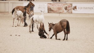 For the Love of the Mustang