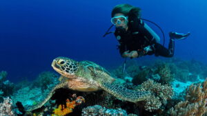 Deep Dive…