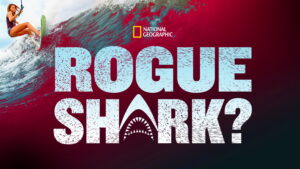 Rogue Shark