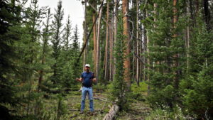 Missing 411: The U.F.O. Connection