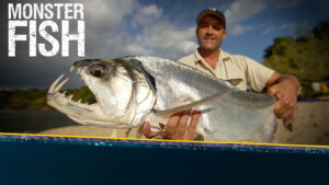 Monster Fish