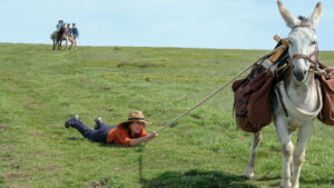 My Donkey, My Lover & I