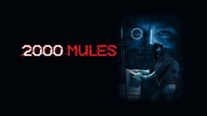 2000 Mules