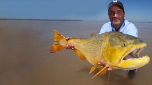 Monster Fish