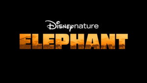 In the Footsteps of Elephant