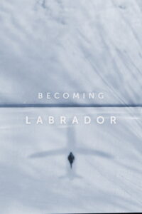 Becoming Labrador