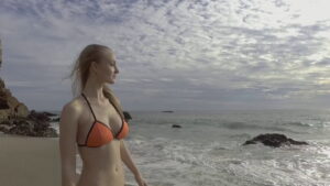 Shark Encounters of the Third Kind