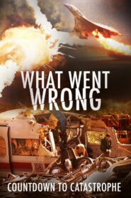 What Went Wrong: Countdown to Catastrophe