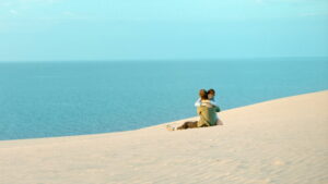 Fidelity