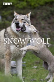 The Snow Wolf: A Winter’s Tale