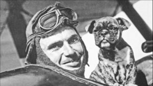 Animals Aloft