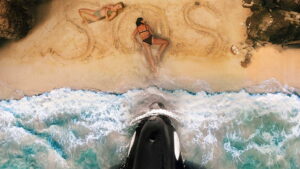 Killer Whale