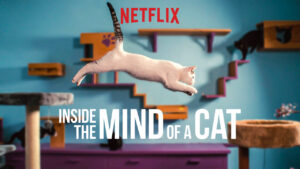 Inside the Mind of a Cat