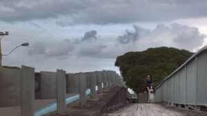 The Justice of Bunny King