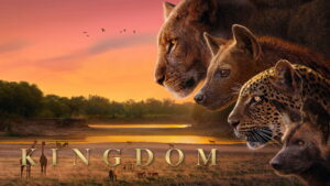 Kingdom (2025)