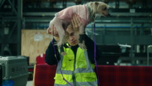 A Storm for Christmas