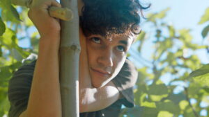 Under the Fig Trees