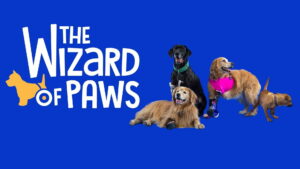 The Wizard of Paws