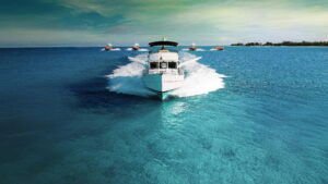 Contraband: Seized at Sea