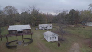Lowndes County and the Road to Black Power