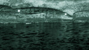 Night Stalkers