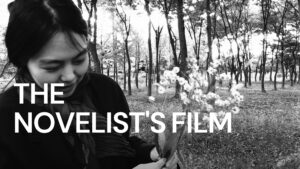 The Novelist’s Film