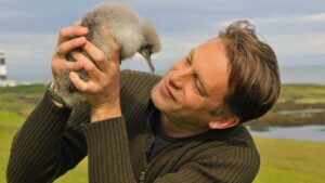 The Animal’s Guide to Britain