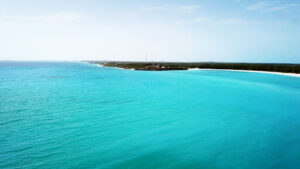Fyre