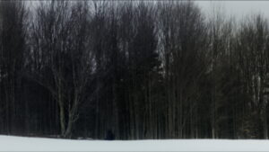 The Harbinger