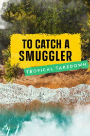 To Catch a Smuggler: Tropical Takedown
