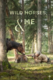Wild Horses, the Rockies and Me