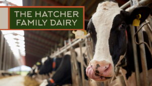 The Hatcher Family Dairy