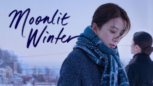 Moonlit Winter